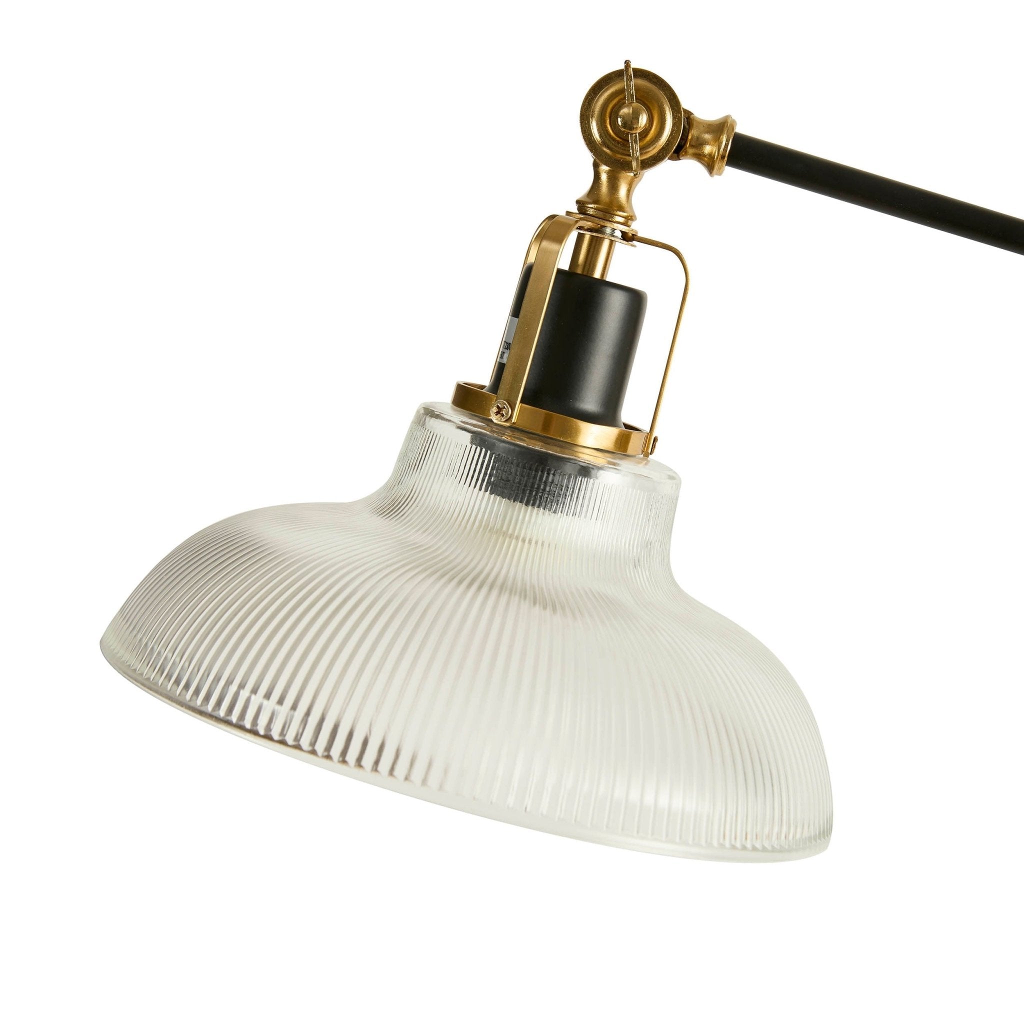 Rita Glass Shade Adjustable Floor Lamp - Black